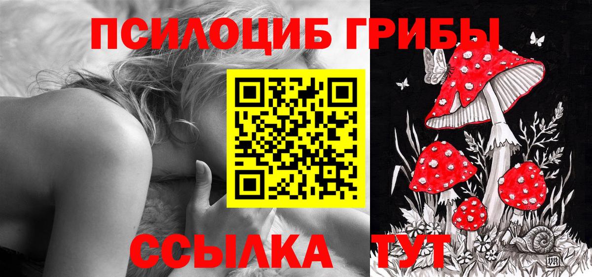 Псилоцибиновые грибы Psilocybine cubensis Зима