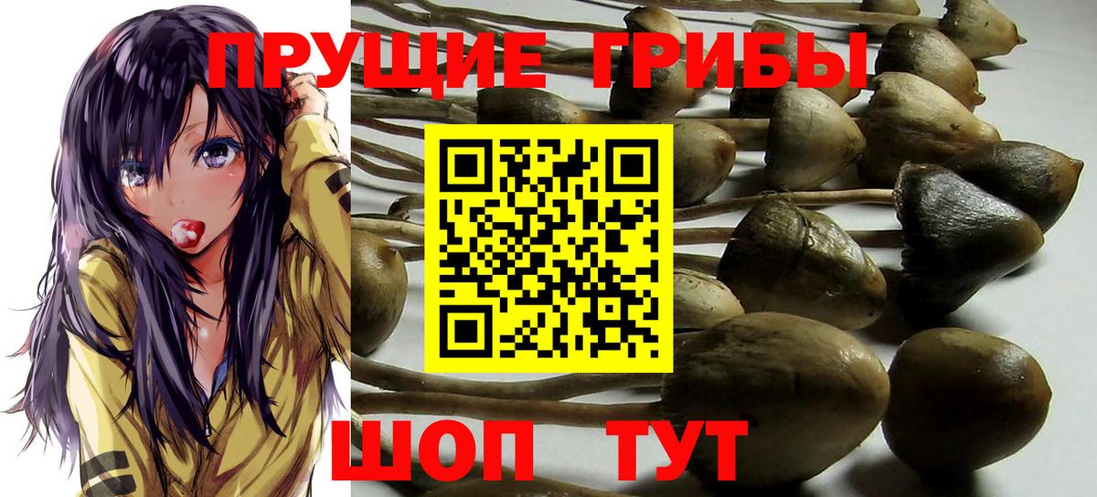 Псилоцибиновые грибы MAGIC MUSHROOMS  Вход с VPN  Зима  Псилоцибиновые грибы MAGIC MUSHROOMS 